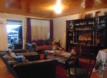 CAMINO-EL-PINO-02600-51