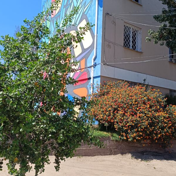 IMG 20251008 120555 600x600